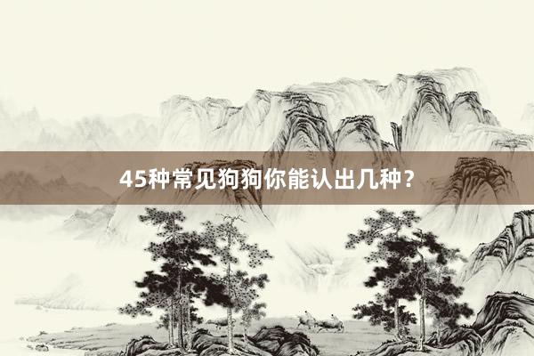 45种常见狗狗你能认出几种?