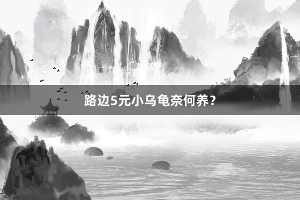 路边5元小乌龟奈何养？